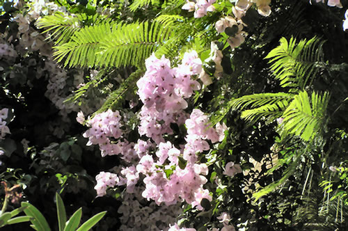 32) Lefkada-Stadt_P9046722